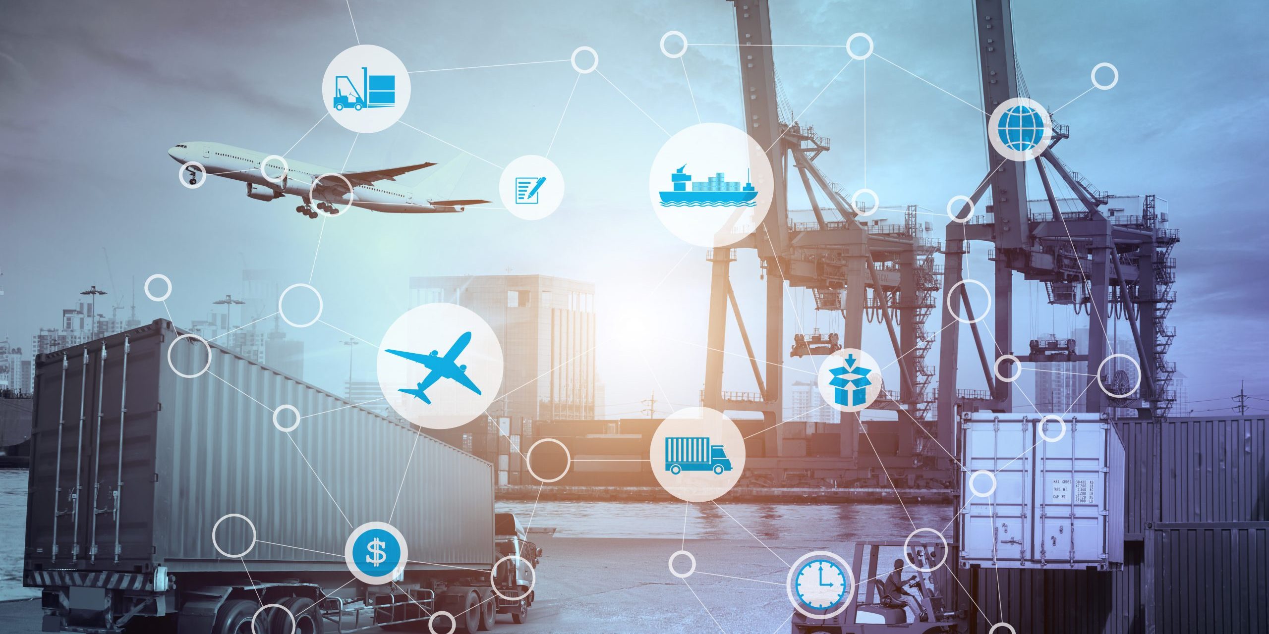 Immagine 1 Innovazione e competenze manageriali