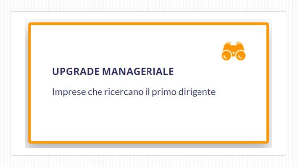 upgrade manageriale
